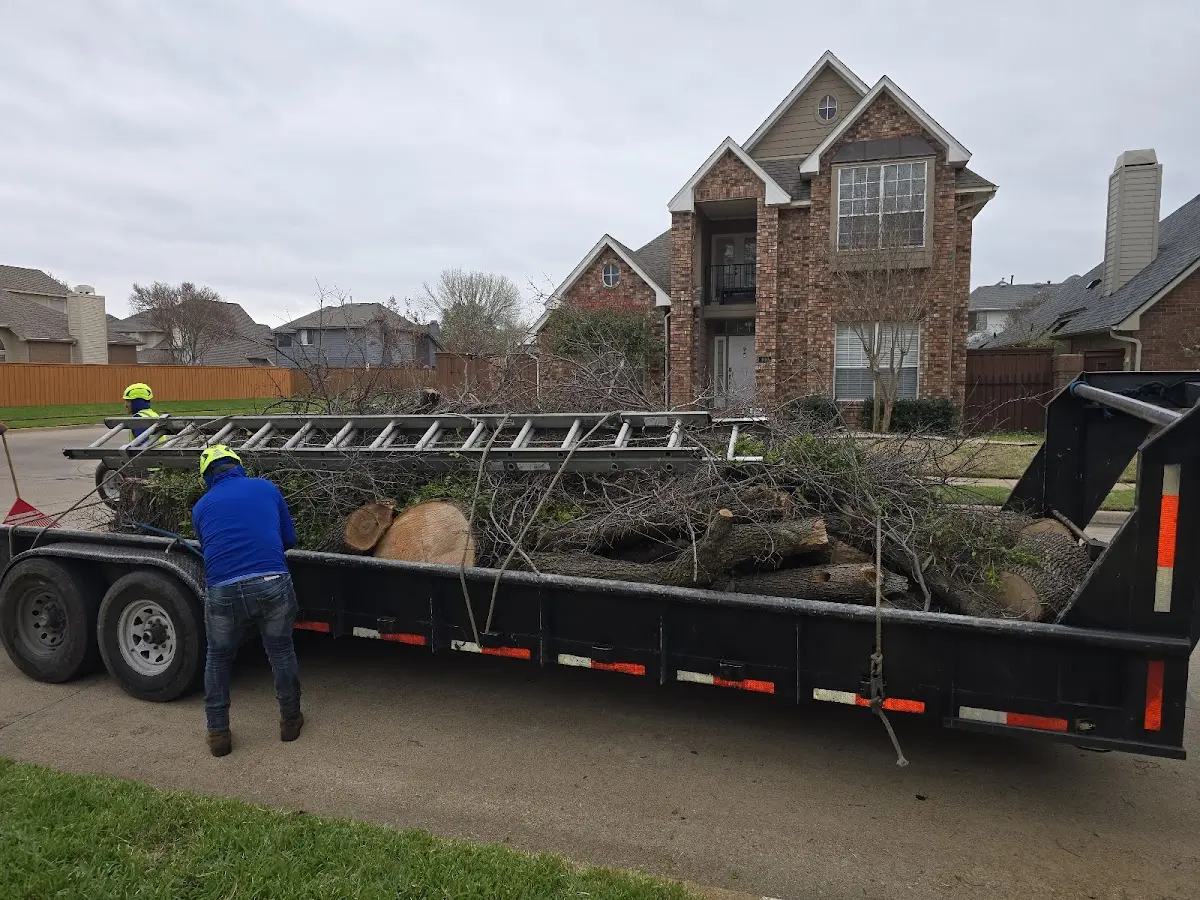 Expert Tree Fertilization with proper safety equipment in Mc Leansville